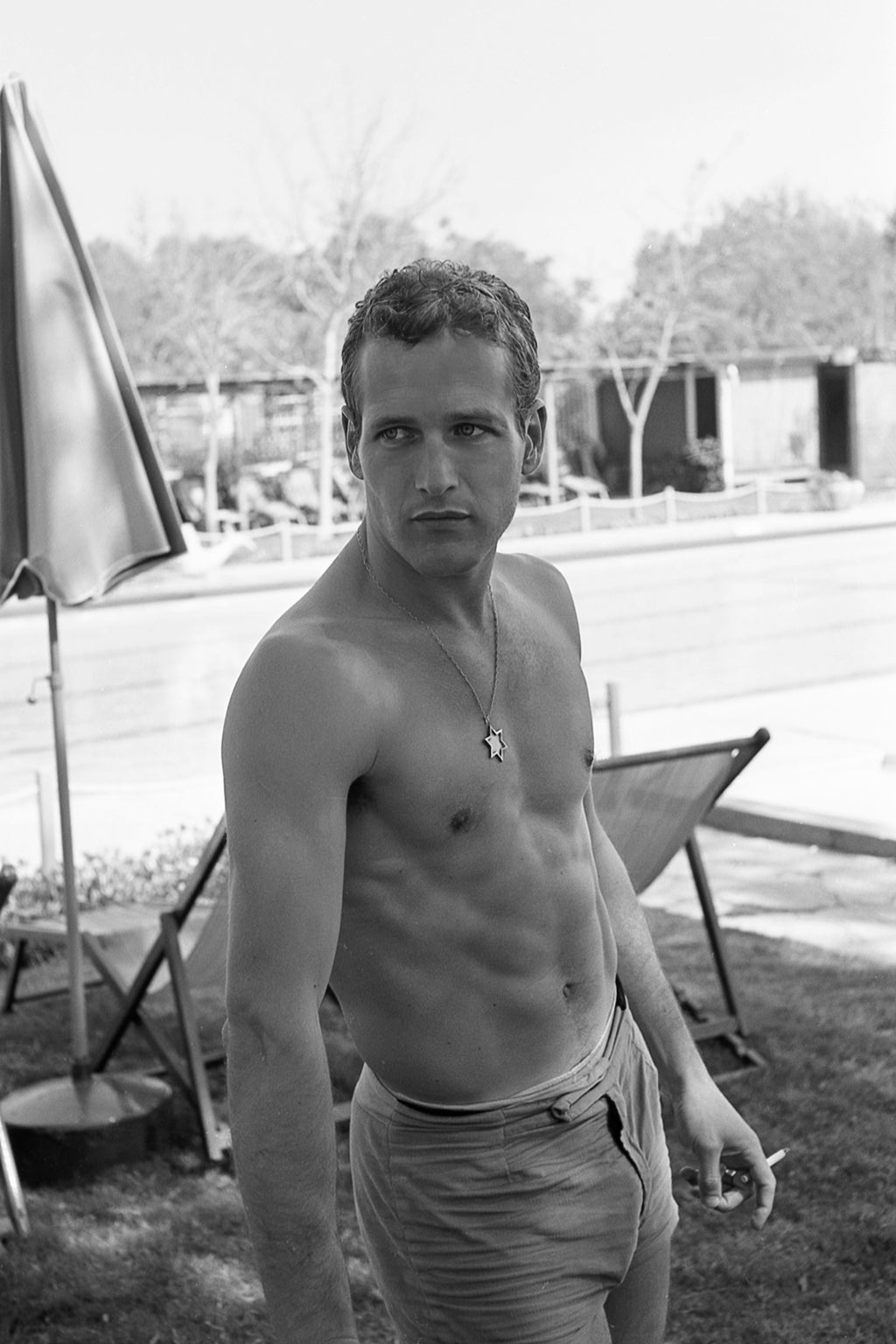 The Handsome Portrait | Paul Newman [0201b]