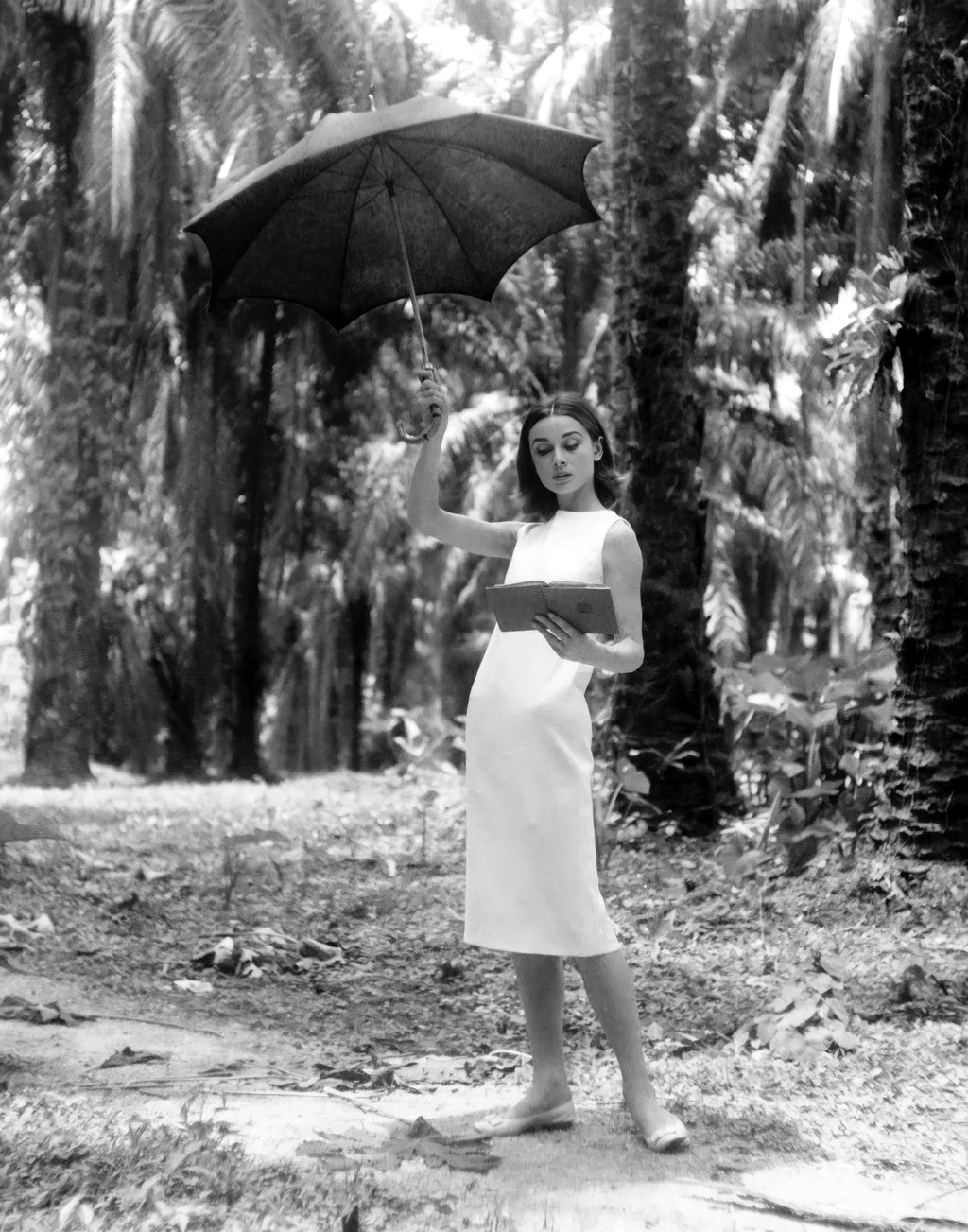 The Elegance Portrait | Audrey Hepburn [0218]