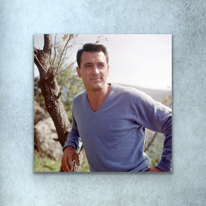 The Icon Portrait | Rock Hudson [1272]